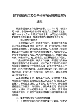 阳下街道党工委关于巡察整改进展情况的通报