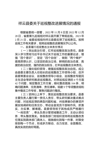 祥云县委关于巡视整改进展情况的通报