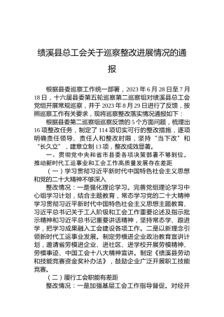绩溪县总工会关于巡察整改进展情况的通报
