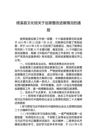 绩溪县文化馆关于巡察整改进展情况的通报
