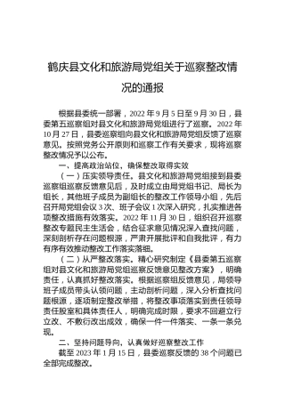鹤庆县文化和旅游局党组关于巡察整改情况的通报