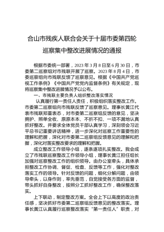 合山市残疾人联合会关于十届市委第四轮巡察集中整改进展情况的通报