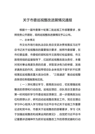 关于市委巡视整改进展情况通报