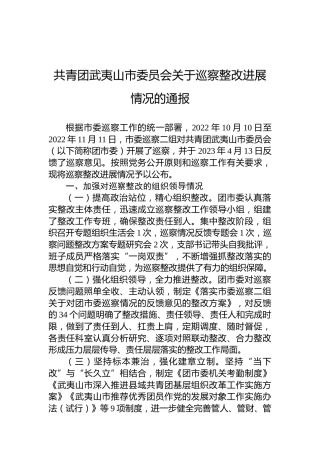 共青团武夷山市委员会关于巡察整改进展情况的通报