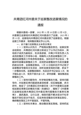 共青团红河州委关于巡察整改进展情况的通报