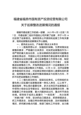 福建省福鼎市国有资产投资经营有限公司关于巡察整改进展情况的通报