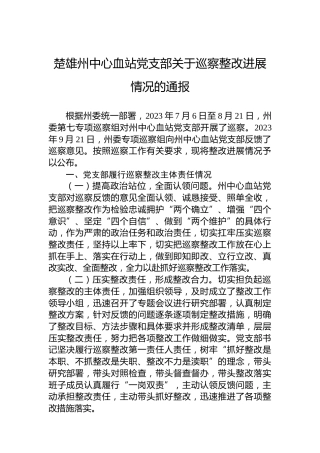 楚雄州中心血站党支部关于巡察整改进展情况的通报