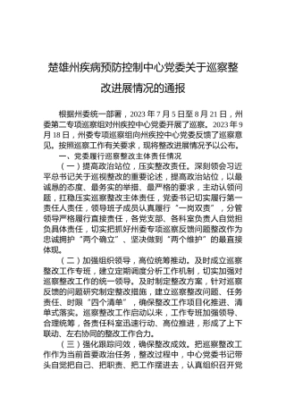楚雄州疾病预防控制中心党委关于巡察整改进展情况的通报