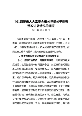 2021铜陵市人大巡察整改情况通报