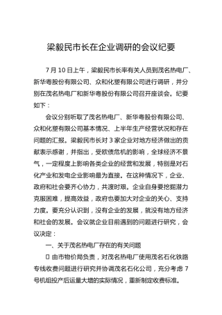 市长在企业调研的会议纪要