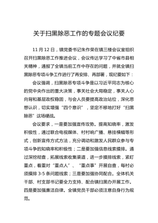 关于扫黑除恶工作的专题会议纪要