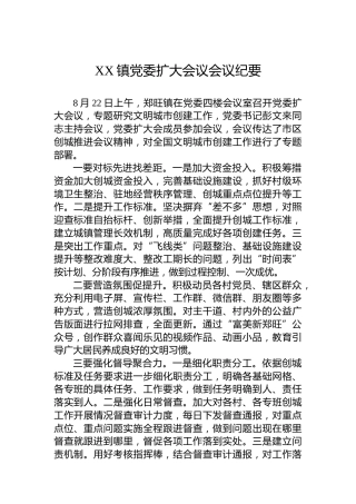 XX镇党委扩大会议会议纪要（20220822）