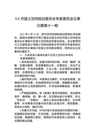 XX市国土空间规划委员会专家委员会议事纪要第十一期（20220623）