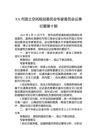 XX市国土空间规划委员会专家委员会议事纪要第十期（20220615）