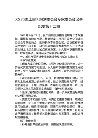 XX市国土空间规划委员会专家委员会议事纪要第十二期（20220625）