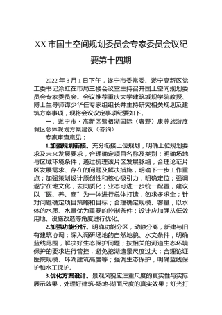 XX市国土空间规划委员会专家委员会议纪要第十四期（20220818）