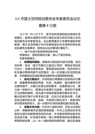 XX市国土空间规划委员会专家委员会议纪要第十三期（20220713）