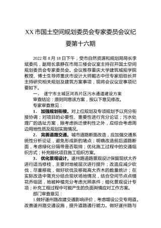 XX市国土空间规划委员会专家委员会议纪要第十六期（20220824）