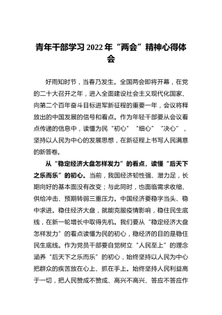 青年干部学习2022年“两会”精神心得体会