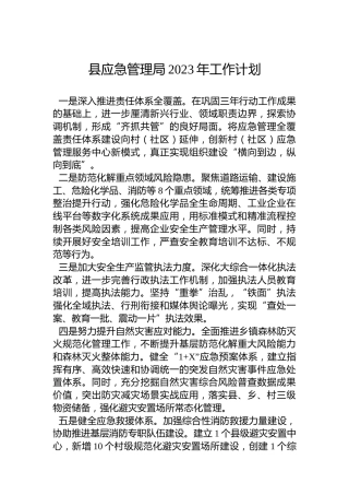 县应急管理局2023年工作计划 (2)
