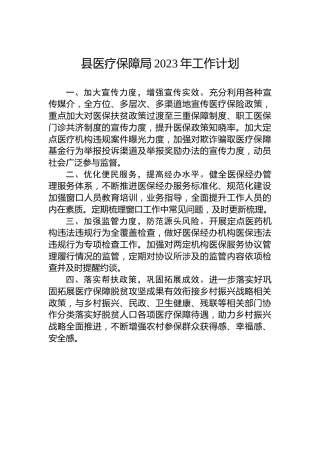县医疗保障局2023年工作计划