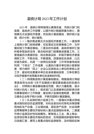 县统计局2023年工作计划(1)