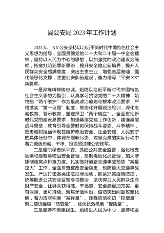 县公安局2023年工作计划