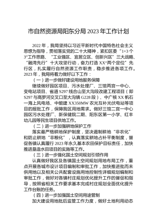 市自然资源局阳东分局2023年工作计划