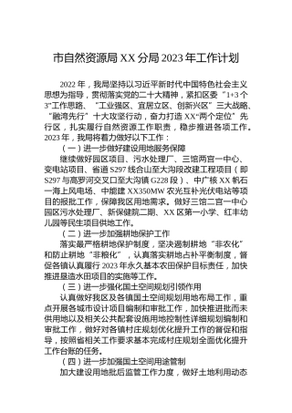 市自然资源局XX分局2023年工作计划