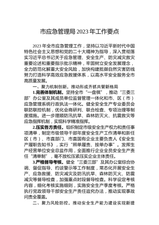 市应急管理局2023年工作要点 (2)