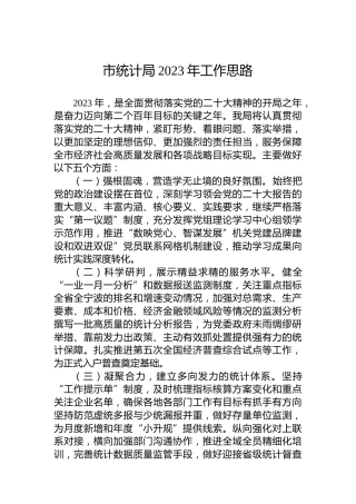 市统计局2023年工作思路
