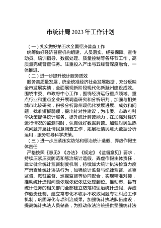 市统计局2023年工作计划