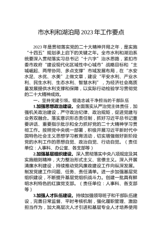 市水利和湖泊局2023年工作要点