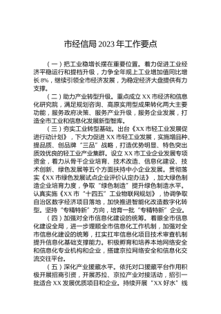市经信局2023年工作要点