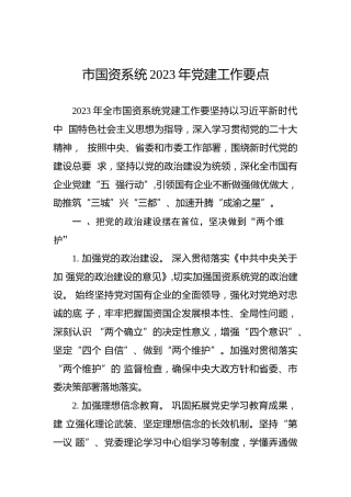 市国资系统2023年党建工作要点