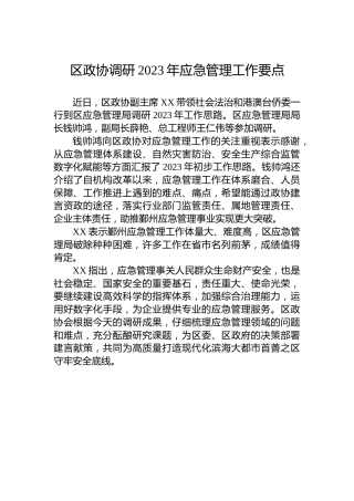 区政协调研2023年应急管理工作要点