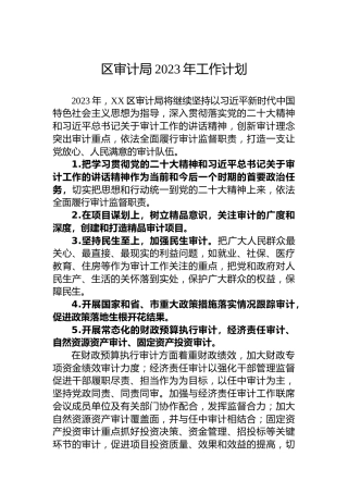 区审计局2023年工作计划