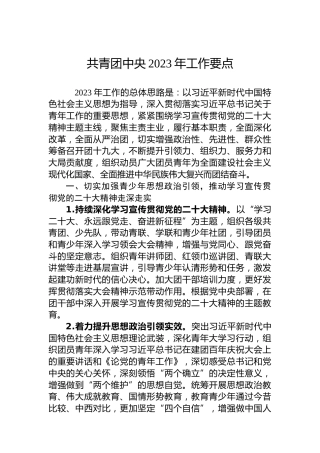 共青团中央2023年工作要点