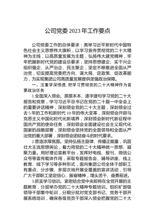 公司党委2023年工作要点 (2)