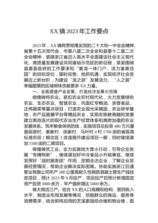 XX镇2023年工作要点 (2)