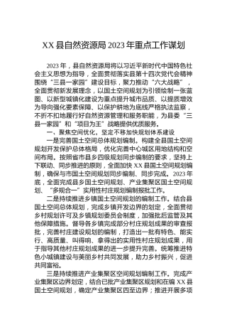 XX县自然资源局2023年重点工作谋划