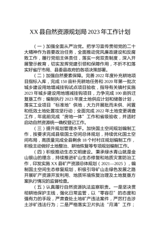 XX县自然资源规划局2023年工作计划
