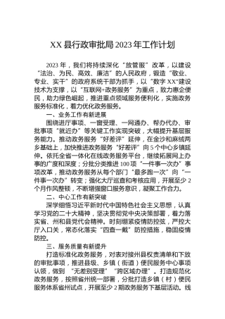 XX县行政审批局2023年工作计划