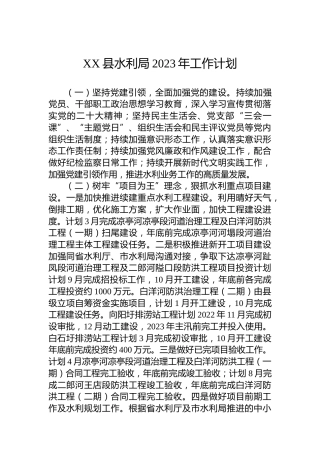 XX县水利局2023年工作计划