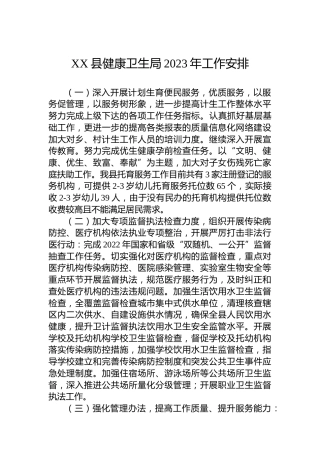 XX县健康卫生局2023年工作安排