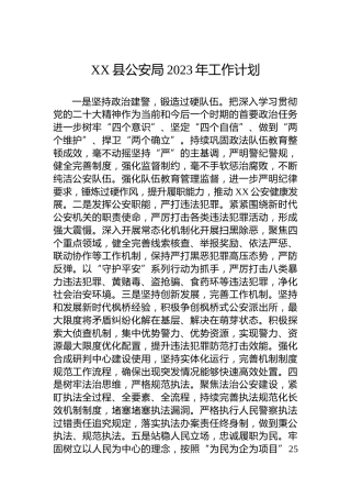 XX县公安局2023年工作计划