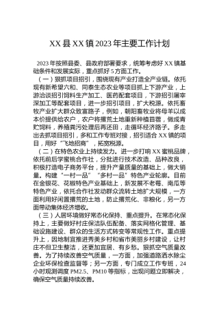 XX县XX镇2023年主要工作计划