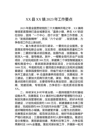 XX县XX镇2023年工作要点