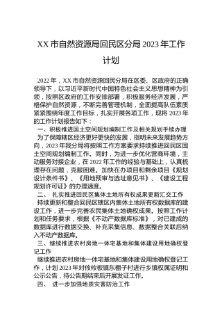 XX市自然资源局回民区分局2023年工作计划