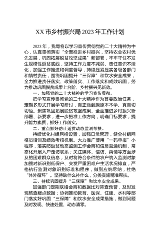 XX市乡村振兴局2023年工作计划（20230110）